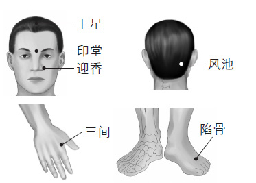 鼻塞、打鼾等鼻子問題的防治